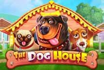 <strong>Daan** voitti juuri pelissä The Dog House<br>€930.53</strong>